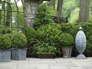 Read more about the article What Makes A Beautiful Garden That Aligns With Your Lifestyle?
