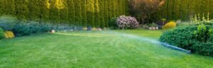 Read more about the article Three Top Reasons to Choose Organic Lawn and Plant Care