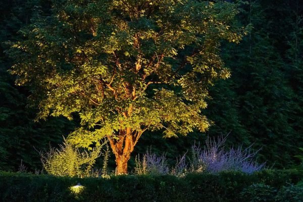 Night Lighting